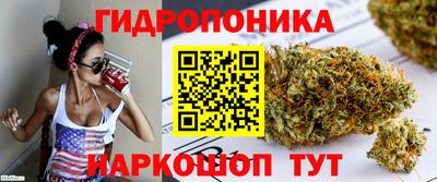 хмурый Новокубанск