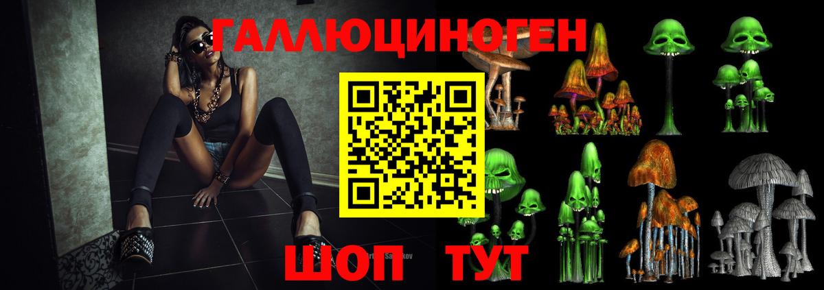 Галлюциногенные грибы мицелий  Вход с VPN  Галлюциногенные грибы Cubensis  Сальск 